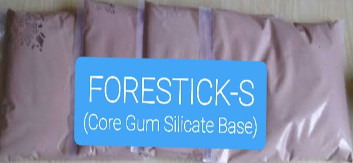Quality control at Forecoat India Industries